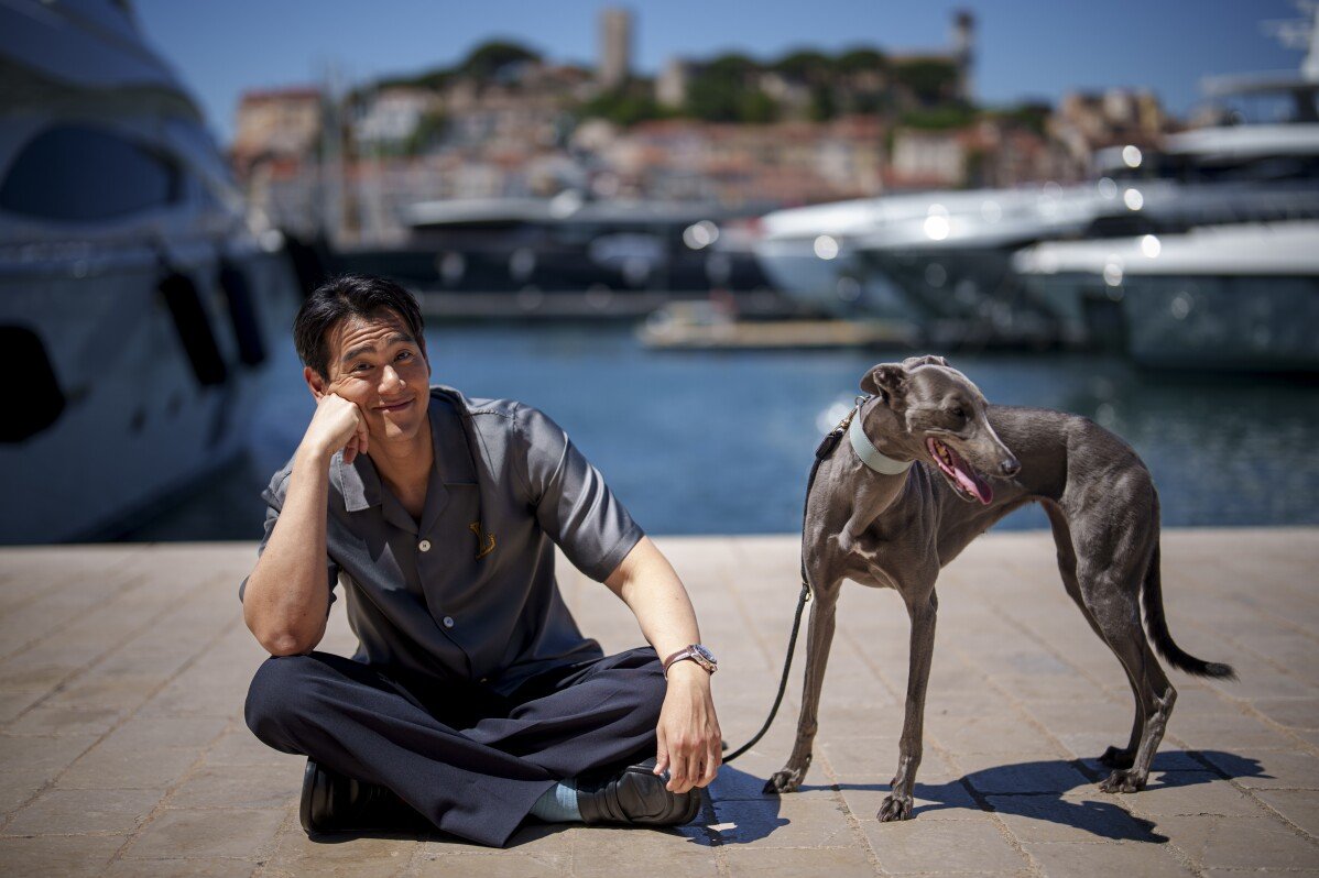 Die wahren Stars von Cannes könnten die Hunde sein